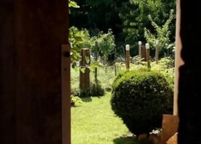 Les Figuiers Appartement